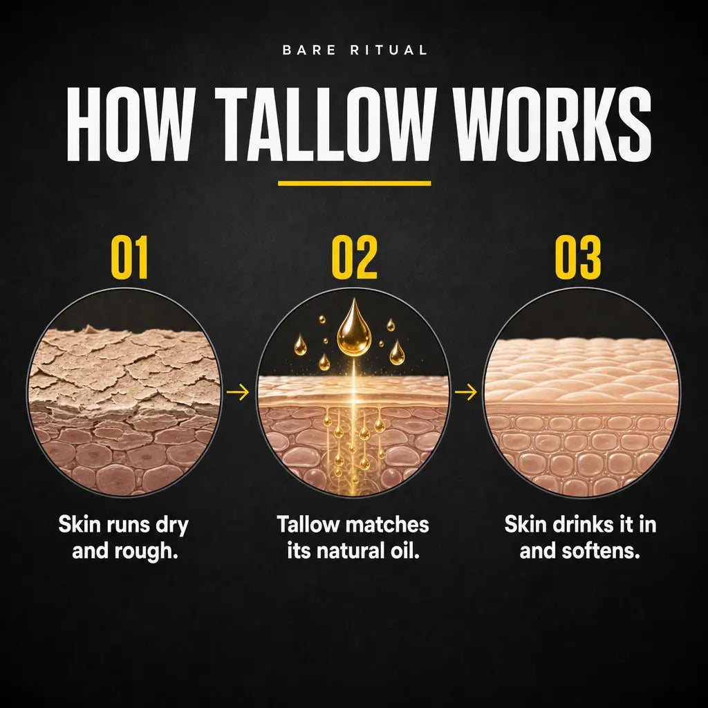 Beef Tallow Honey Balm for Men